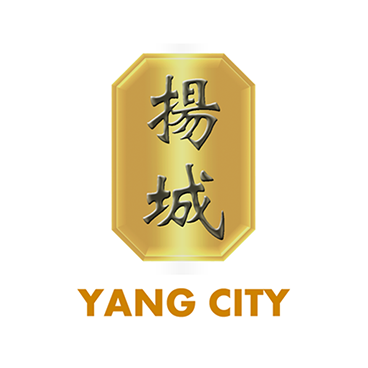 Yang City Holdings Pte Ltd