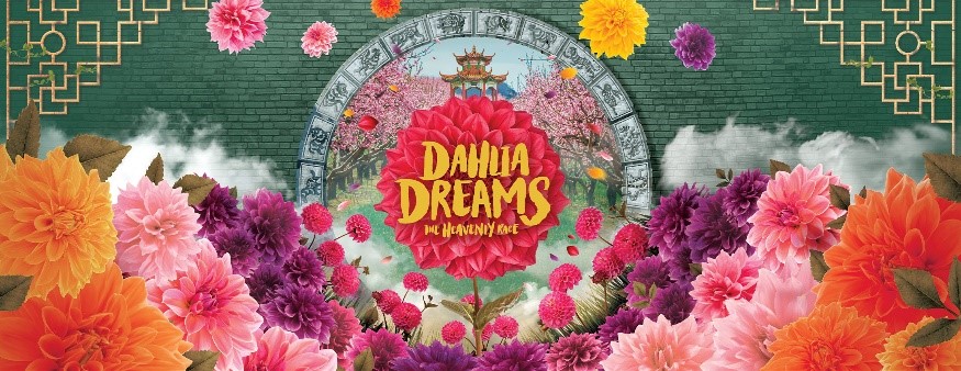 2001101004-1-dahlia-dreams-2020.jpg