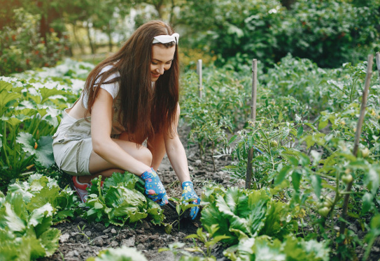Why Gardening is Good for You and the Environment?